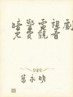 暗警电视剧全集免费观看