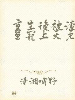 重生后被渣男舅舅宠上天免费播放