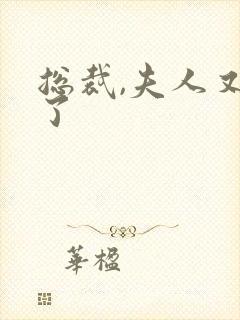 总裁,夫人又跑了