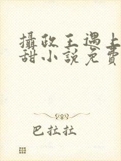 摄政王遇上方知甜小说免费阅读封面