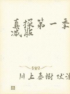 真探第一季未删减版