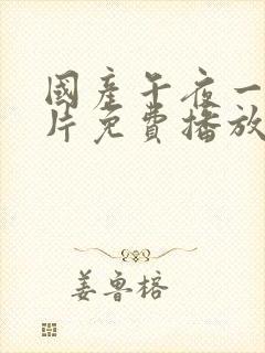 国产午夜一级一片免费播放封面