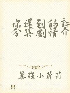 你迟到的许多年分集剧情介绍