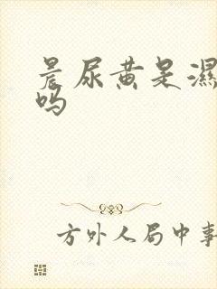 晨尿黄是湿气重吗封面