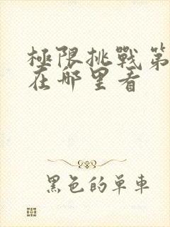 极限挑战第九季在哪里看