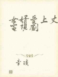 女婿爱上丈母娘电视剧