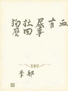 狗拉尿有血是怎么回事