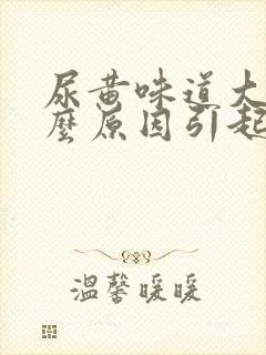 尿黄味道大是什么原因引起的