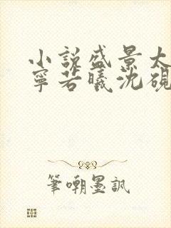 小说盛景太匆匆宁若曦沈砚舟在线阅读