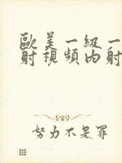 欧美一级一片内射视频内射在线免费观看