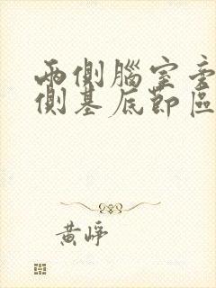 两侧脑室旁及两侧基底节区腔梗