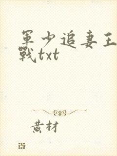 军少追妻王牌特战txt封面