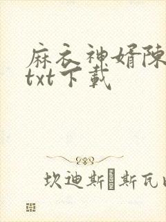 麻衣神婿陈黄皮txt下载