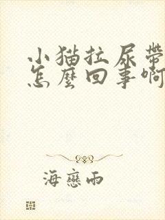 小猫拉尿带血是怎么回事啊