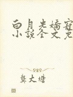 白月光娇宠日常小说全文免费阅读