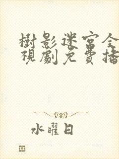 树影迷宫全集电视剧免费播放