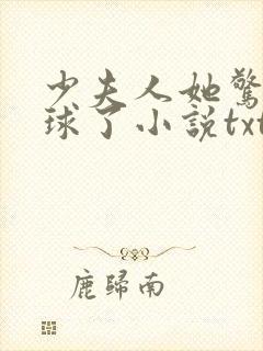 少夫人她惊艳全球了小说txt