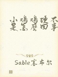 小鸡鸡硬不起来是怎么回事?