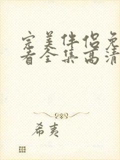 完美伴侣免费观看全集高清版封面