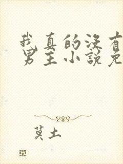 我真的没有想抢男主小说免费阅读