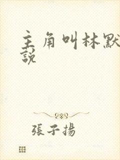 主角叫林默的小说