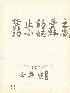 禁止的爱之善良的小姨韩剧