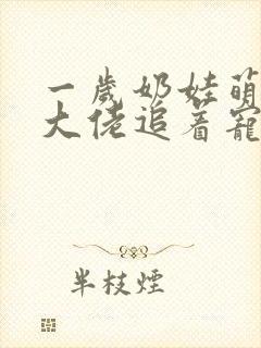 一岁奶娃萌又凶大佬追着宠小说