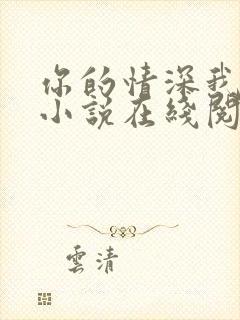 你的情深我不配小说在线阅读