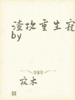 渣攻重生宠男妻by封面