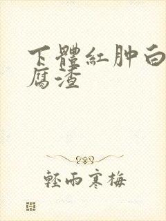 下体红肿白带豆腐渣封面