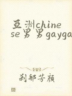亚洲chinese男男gaygay网站