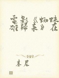 电影《蜘蛛侠英雄归来》在线观看