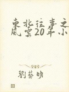 东北往事之黑道风云20年小说