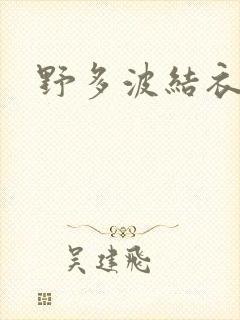 野多波结衣