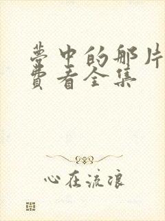 梦中的那片海免费看全集