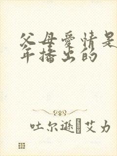 父母爱情是哪一年播出的