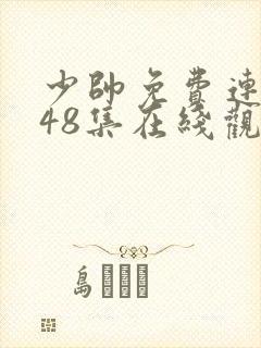 少帅免费连续剧48集在线观看高清版封面