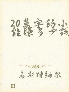 20万字的小说能赚多少钱封面