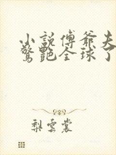 小说傅爷夫人又惊艳全球了免费