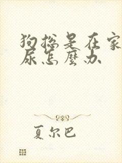 狗总是在家里乱尿怎么办