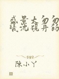 盛景太匆匆宁若曦沈砚舟的小说封面