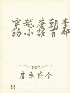 穿越唐朝李承乾的小说有哪些