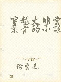 穿越大明当县令叶青的小说封面