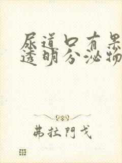 尿道口有果冻状透明分泌物