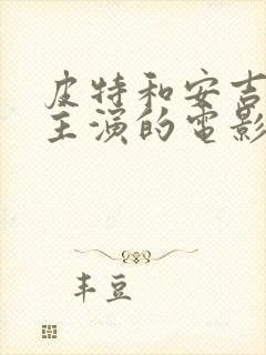 皮特和安吉丽娜主演的电影封面