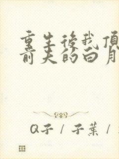 重生后我顶替了前夫的白月光封面