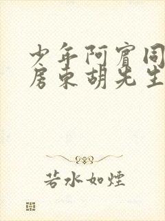 少年阿宾同人之房东胡先生小说