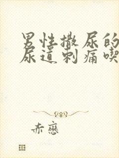 男性撒尿的时候尿道刺痛吃什么药封面