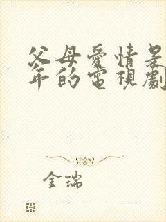 父母爱情是哪一年的电视剧封面