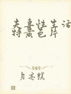 夫妻性生活一级特黄色片